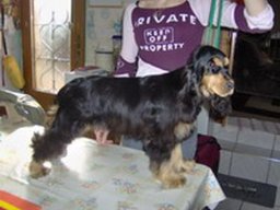 beverly_20211130_1740360013